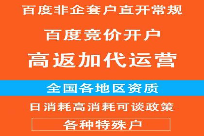 竞价托管服务案例解析